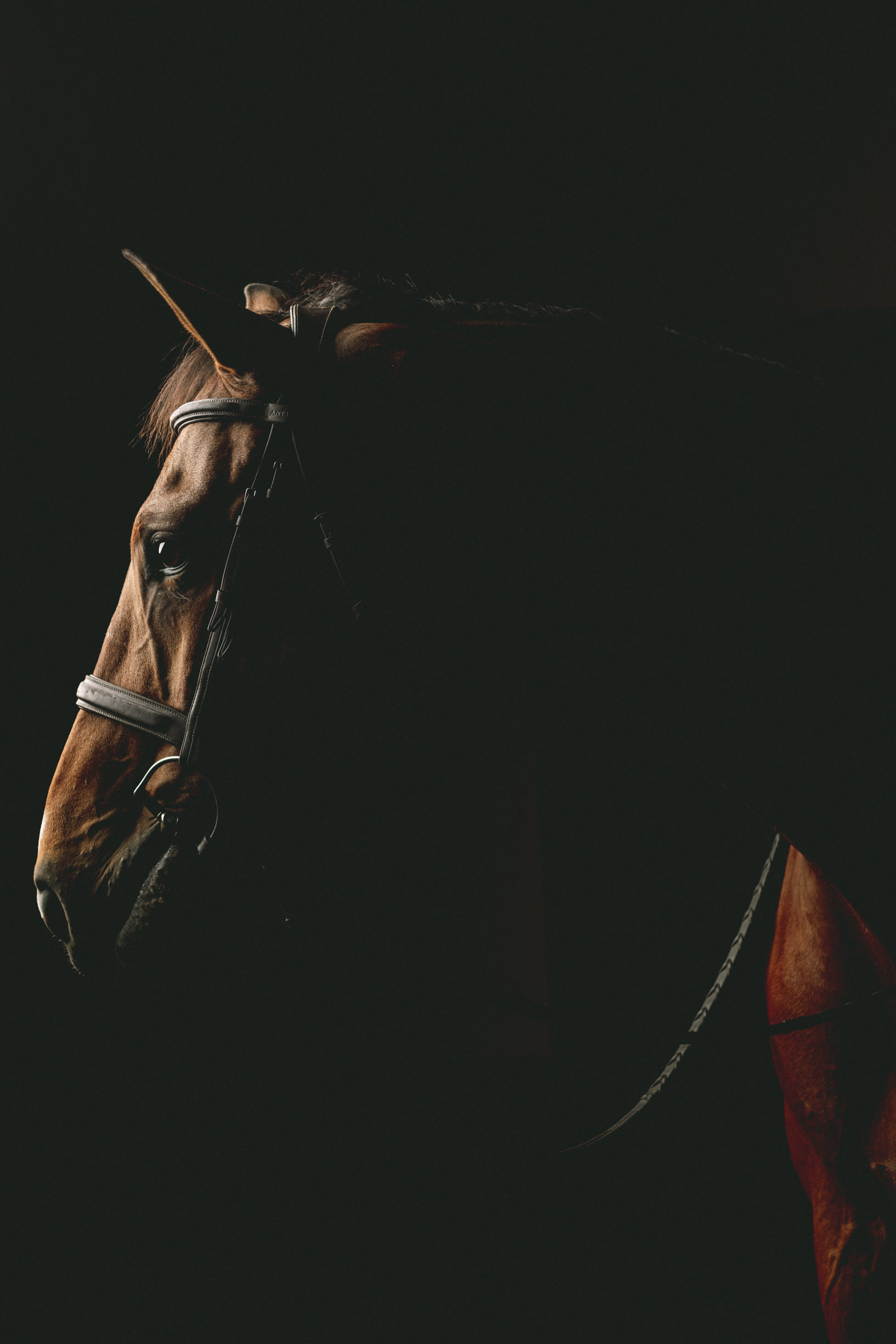 JAMES FISHER FOUNDATION Electric Soul